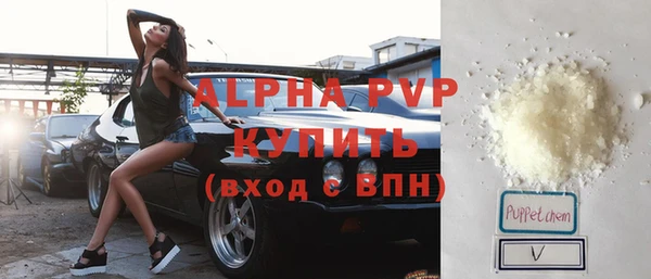 гидра Алексин