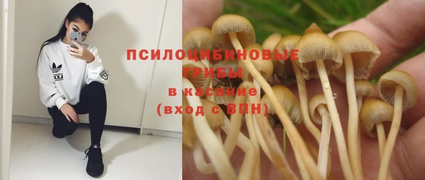 jwh Алзамай