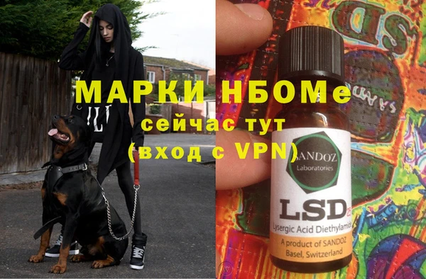 гидра Алексин